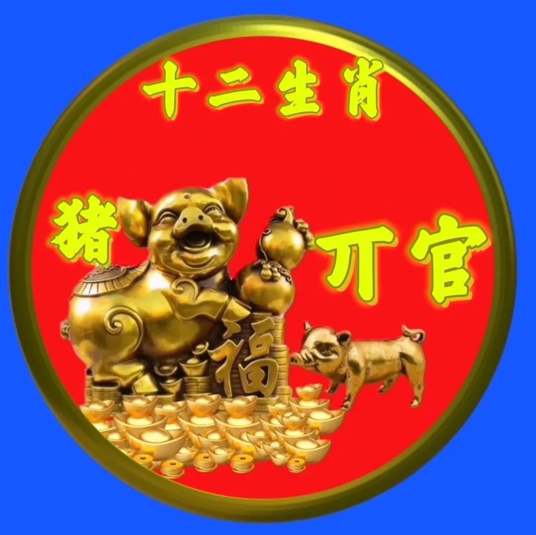 12生肖猪的姓氏头像,十二生肖猪姓氏头像壁纸