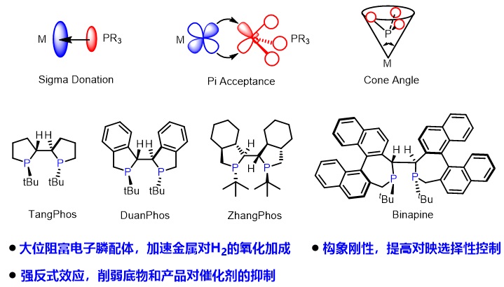 南科大张绪穆,张绪穆为什么离开武大