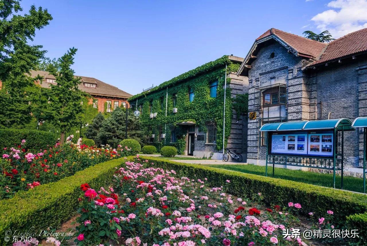 娓呭崕鍖楀ぇ琚綉鍙嬮獋,缃戝弸鎵硅瘎娓呭崕鍖楀ぇ