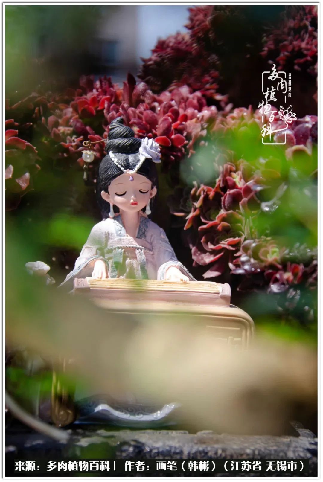 月满西楼别有一番滋味在心头,绿肥红瘦