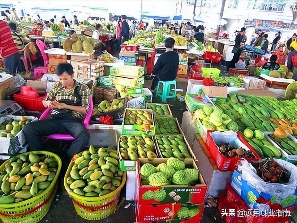 乡镇干什么项目能挣钱,乡镇能做的赚钱项目