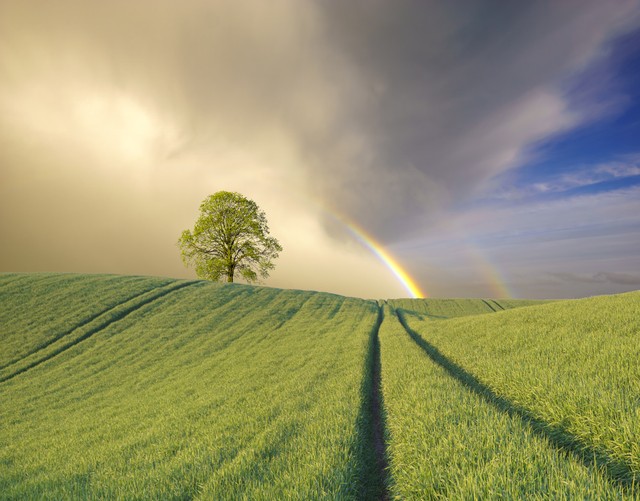 风雨后的彩虹歌曲完整版,风雨后的彩虹dj