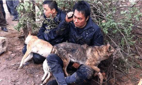 毒狗针究竟有多毒？专家：毒狗针有几种，有一种毒死的狗千万别吃