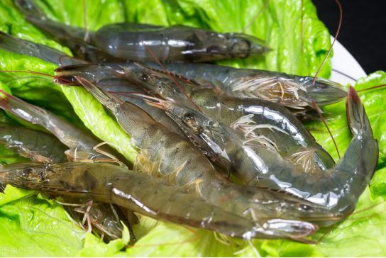 买虾不抓虾的方法,买虾的正确方法和注意事项