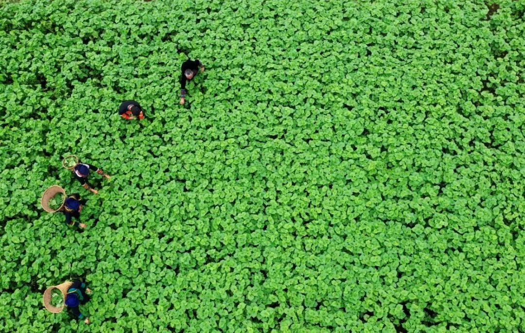 昭觉美姑,美姑路况