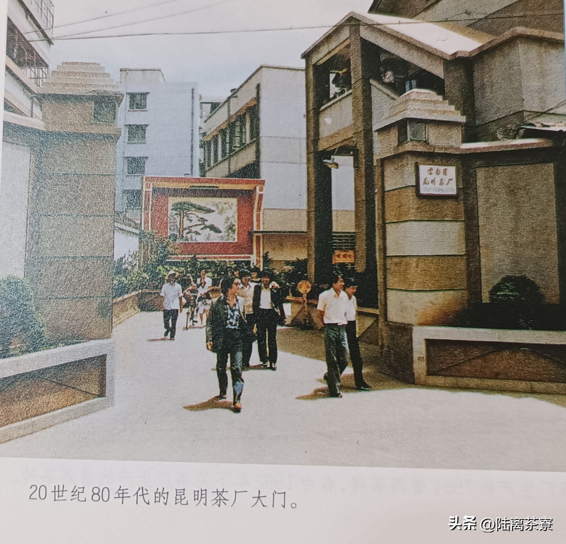 澳门高端普洱茶,澳门华联监制普洱茶