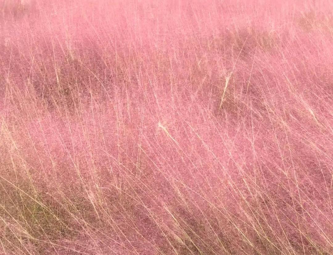 閲嶅簡娼煎崡鏃呮父鏅偣,閲嶅簡娼煎崡鍗佸ぇ鏅偣
