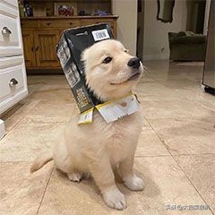 iphone的信号真的很差吗,iphone14promax信号会很好吗