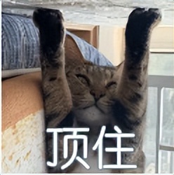 毕业论文应该怎么写有什么步骤吗,毕业论文层次怎么写