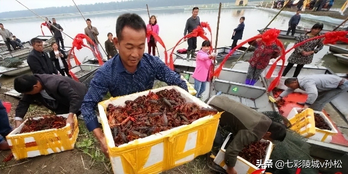 德州陵城东方,德州陵城智圣故里