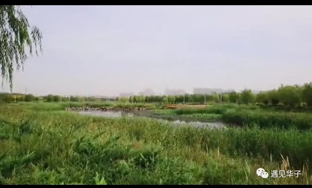 包头市台地公园景观,包头台地公园介绍