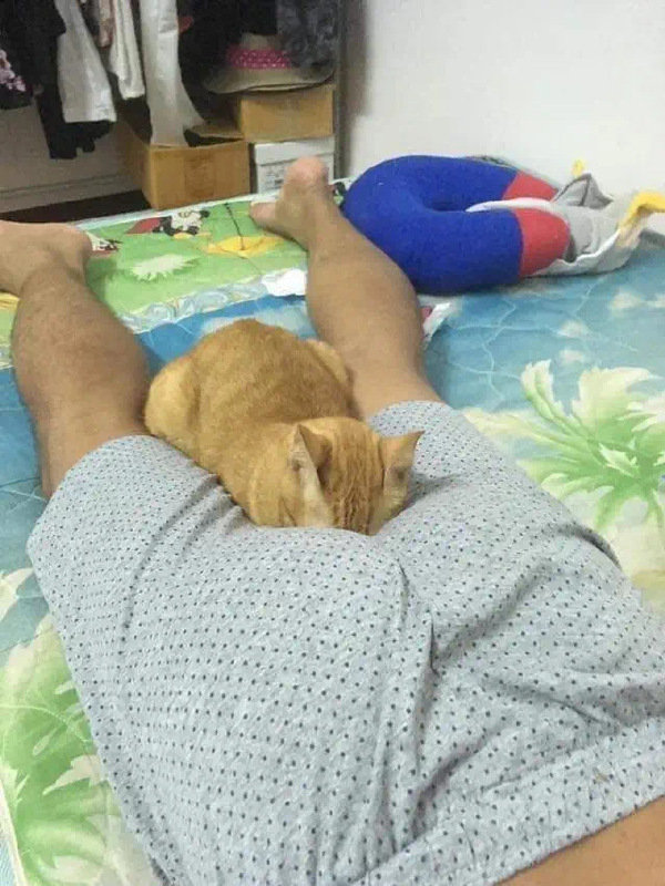 【被窝段子20221225】每个人的花期不同不必焦虑有人比你提前拥有