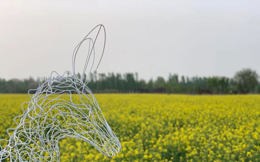 十一北京大兴周边旅游景点推荐,北京大兴黄村旅游攻略