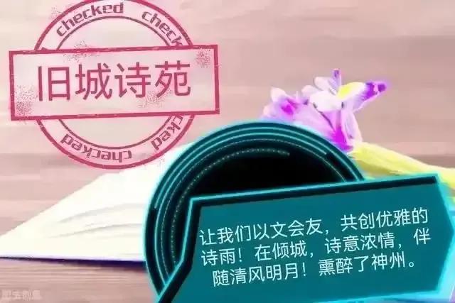 光影斑驳，花瓣飘落，我在缤纷的樱花树下，聆听岁月的诉说