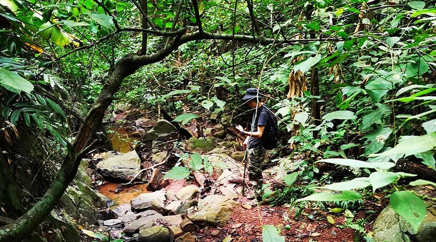 东南亚风情版纳攻略,西双版纳东南亚游