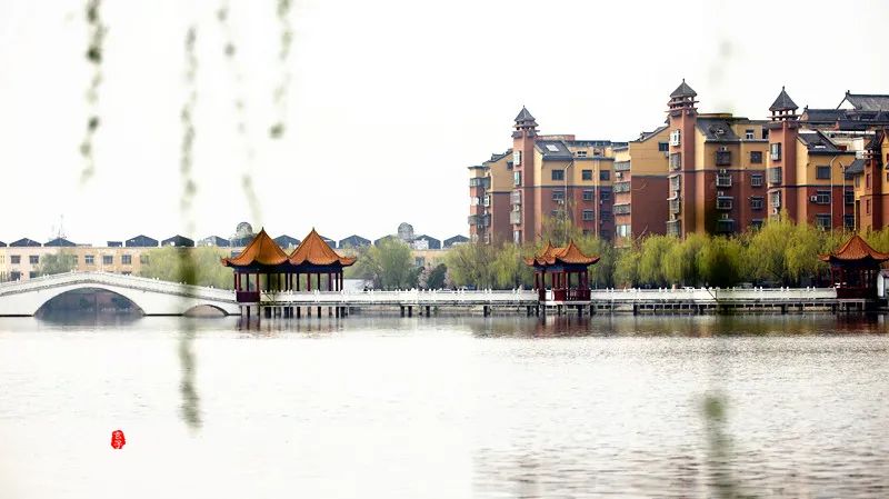周口淮阳区荷花节在哪里举办了,周口市淮阳区荷花节开幕式