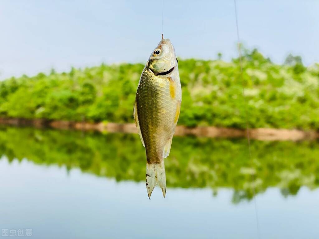 打了窝鱼口不好还要继续打窝吗,打了窝不发窝