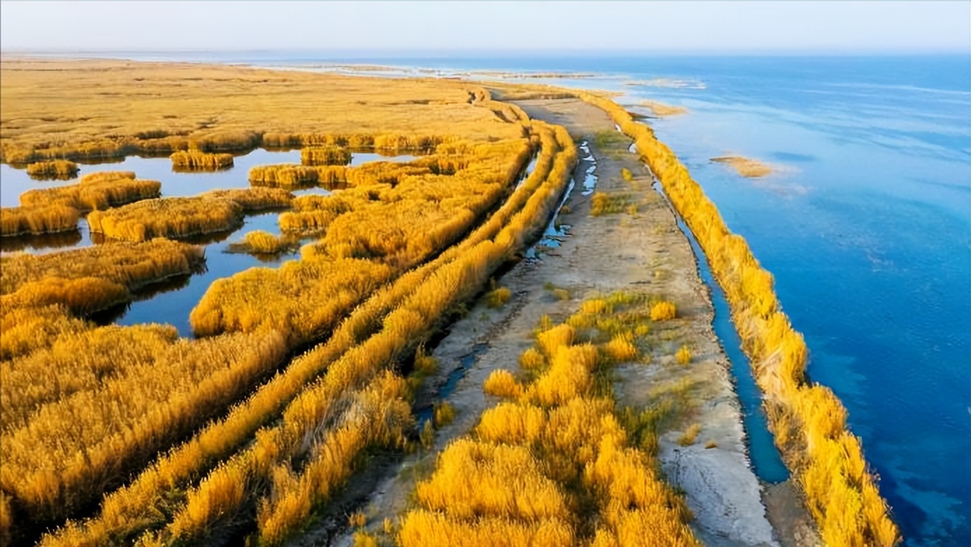 *疆新**为什么不包邮?看完*疆新**有多大就清楚了