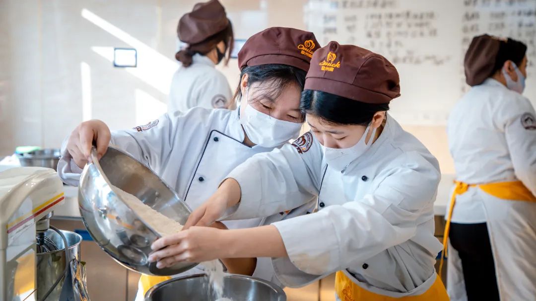 为什么不推荐去机构当老师,为什么说不能进培训班学技术