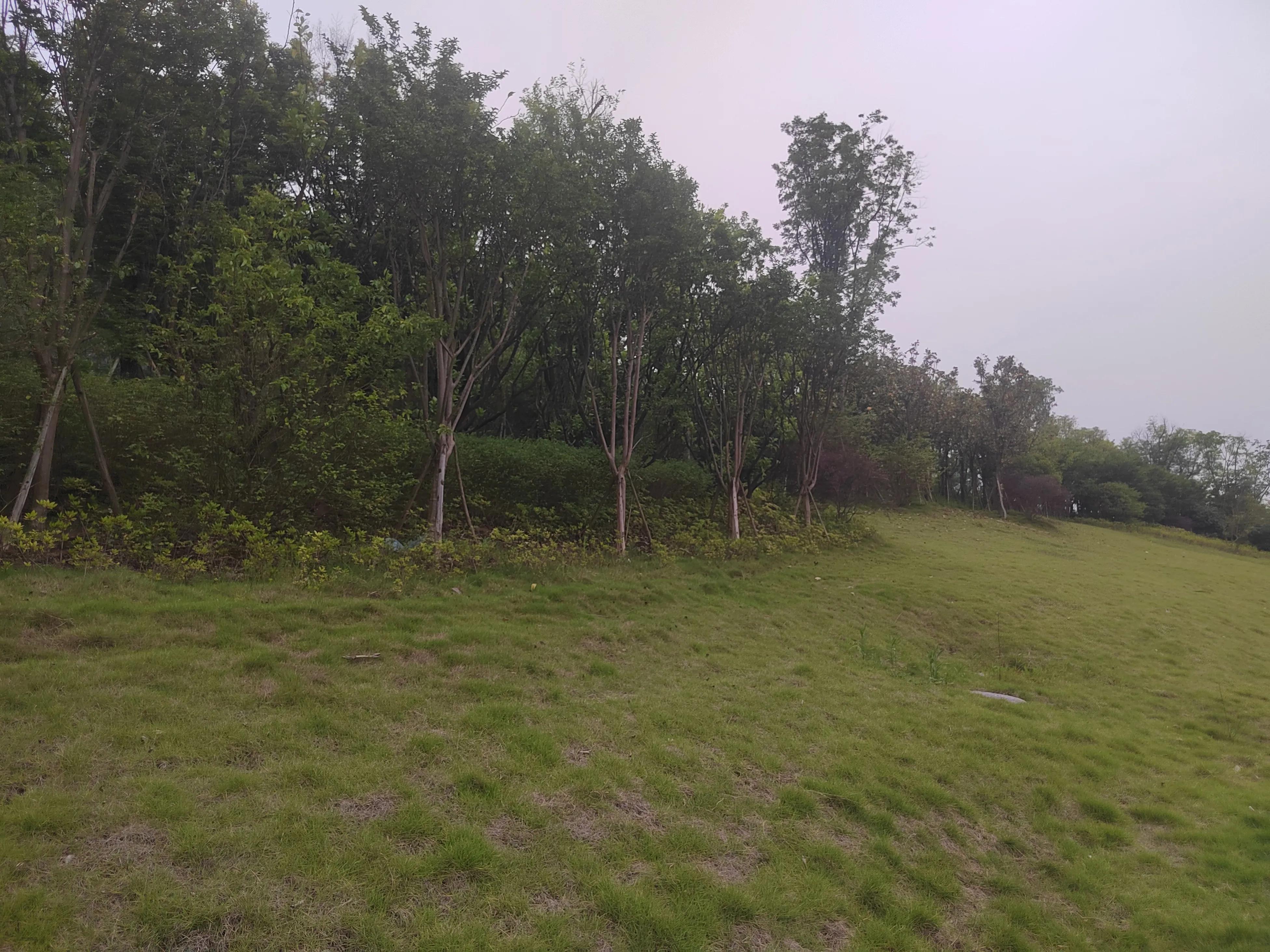 怎样经营一个幸福家庭,如何经营幸福美满的婚姻家庭