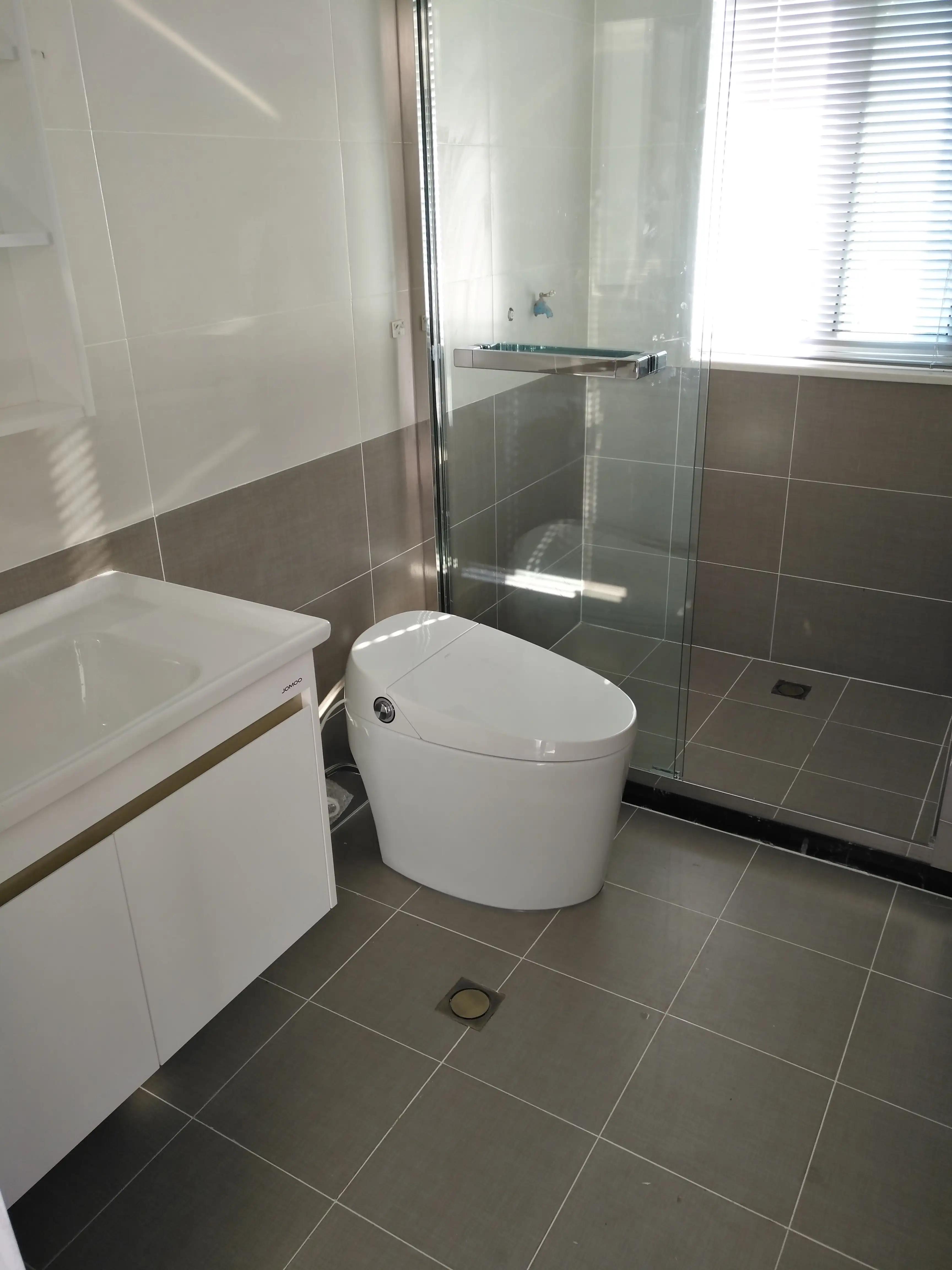 入住后自己挑一千多智能马桶推荐,智能马桶值得买吗