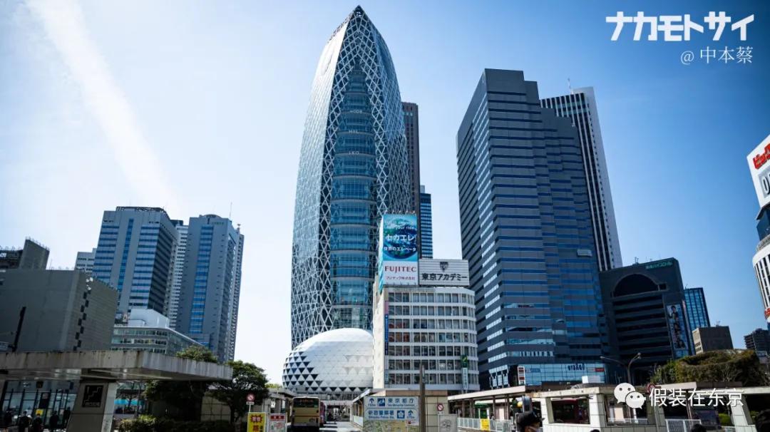 365张照片回顾,365张相片