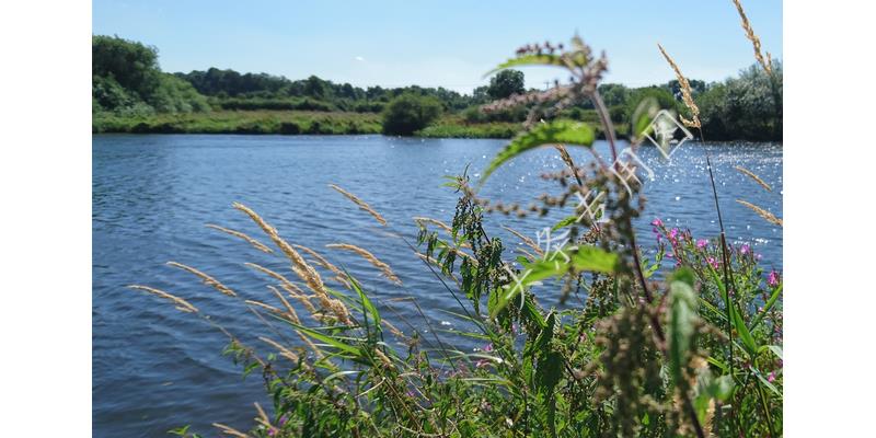 女子怀孕8个月被赶出家门,怀孕七个月被赶出家门