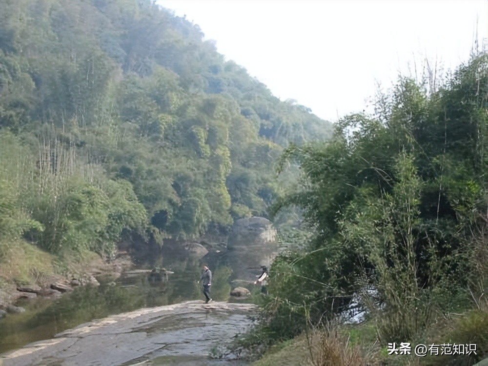 曹晓洁高考多少分,中国第一专科生曹晓洁