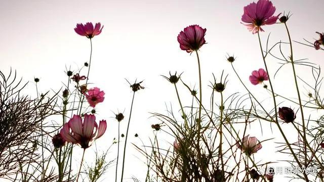 如何正确用好信用卡,怎样安全使用信用卡