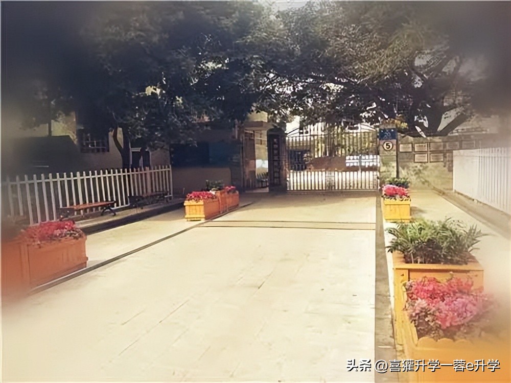蓉e升学,成华区小学升学率排行