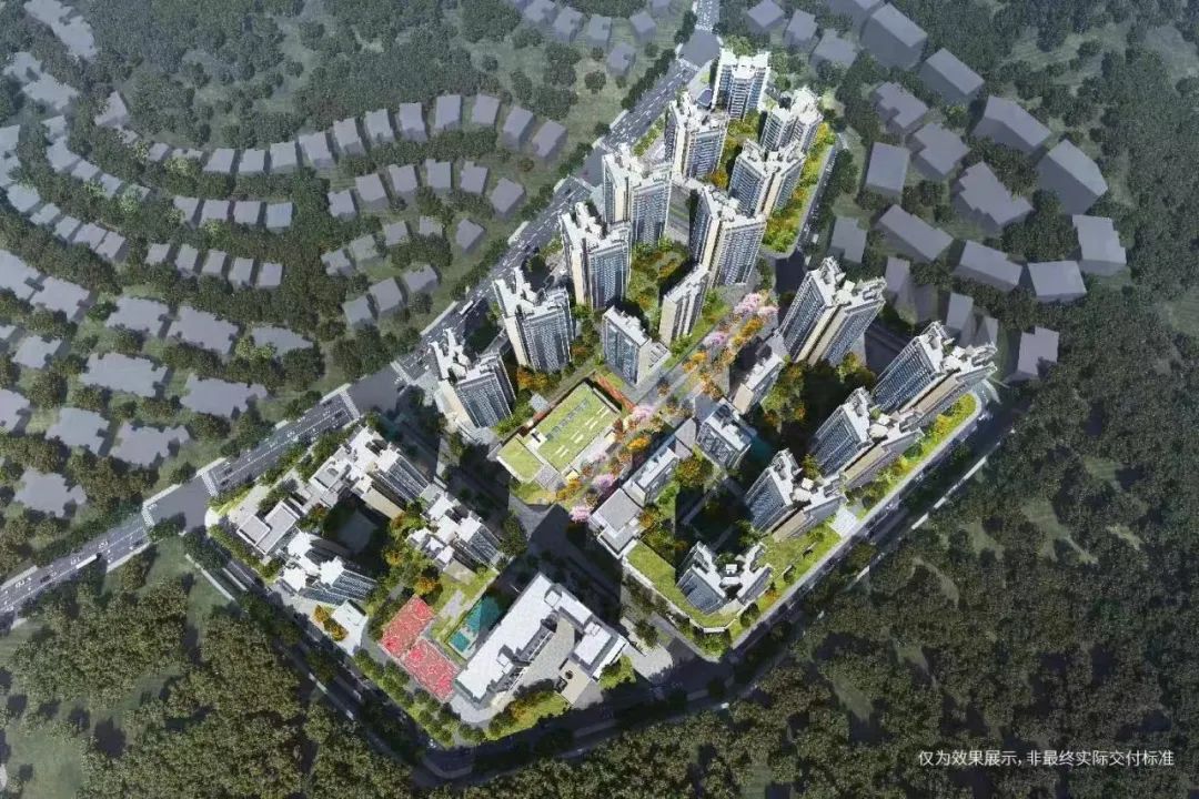 黑马学校好不好,黑马学校咋样