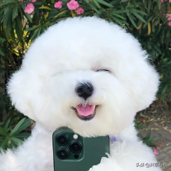 有你在身边就好的情侣头像,情侣头像和你在一起每天都超甜