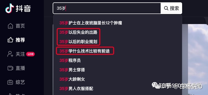 白杨seo博客推广渠道,seo新项目从哪些入手