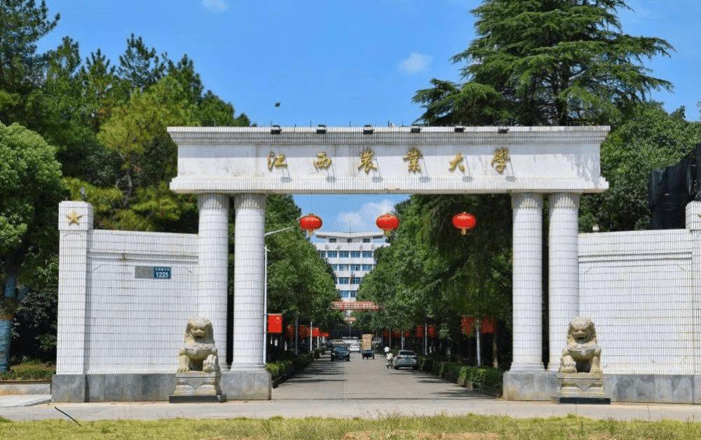 江西农业大学，一本守门员，曾经也很辉煌