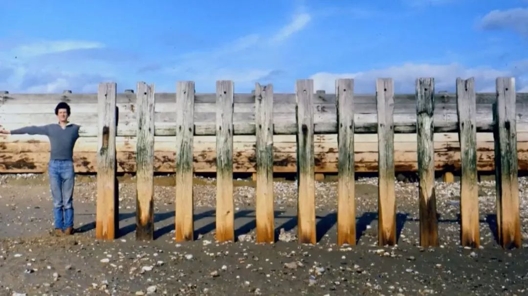 最高级的素质,顶级身体形态