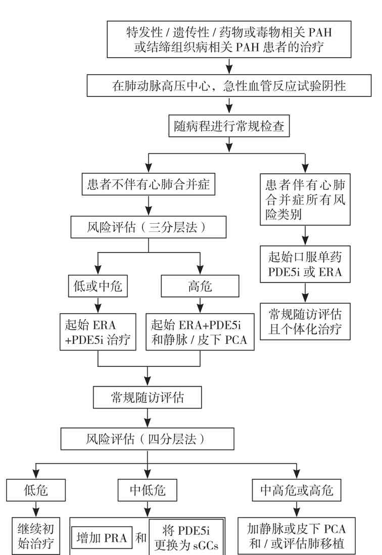 肺动脉高压临床诊治和管理中需要关注的热点问题