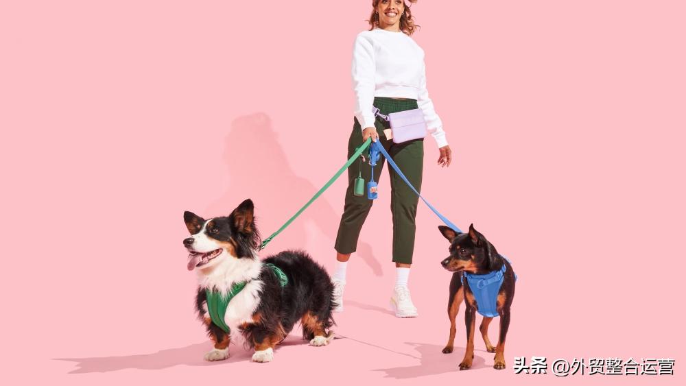 牵狗绳大型犬一元,牵狗绳200元以上