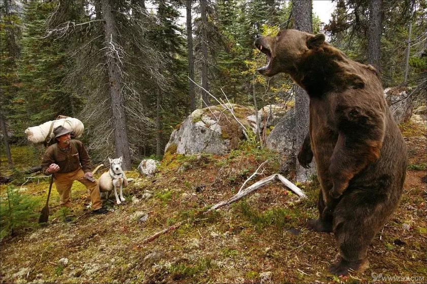 最美的电影瞬间,最美的电影片段