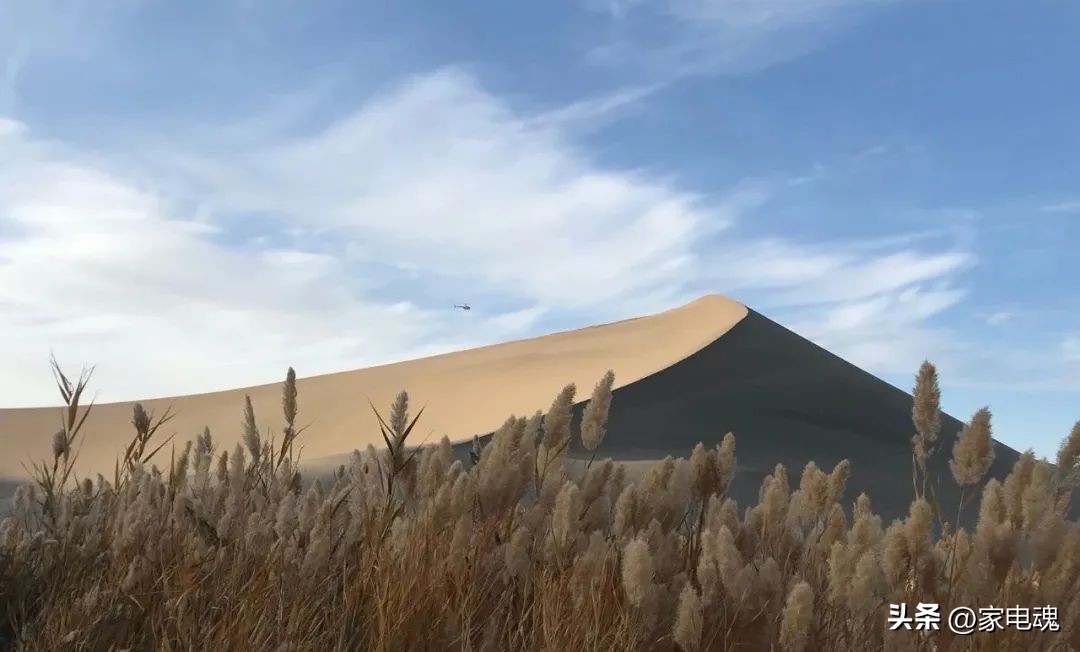 抖音有开超市吗,抖音上开了小店会影响流量吗