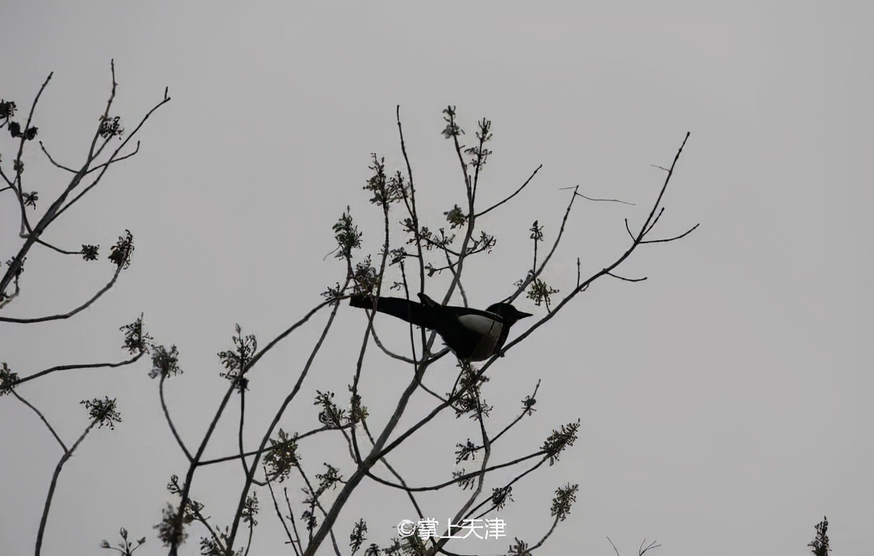 天津最好的私人公园,天津小众拍照圣地