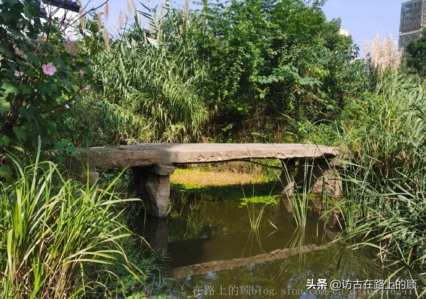 常州古桥镇,常州单孔古桥