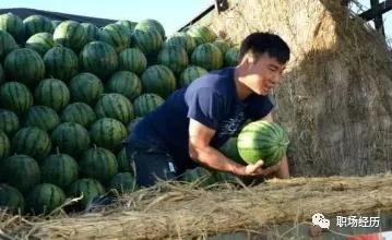 农村种地适合做什么生意,农村一年四季都能赚钱的生意