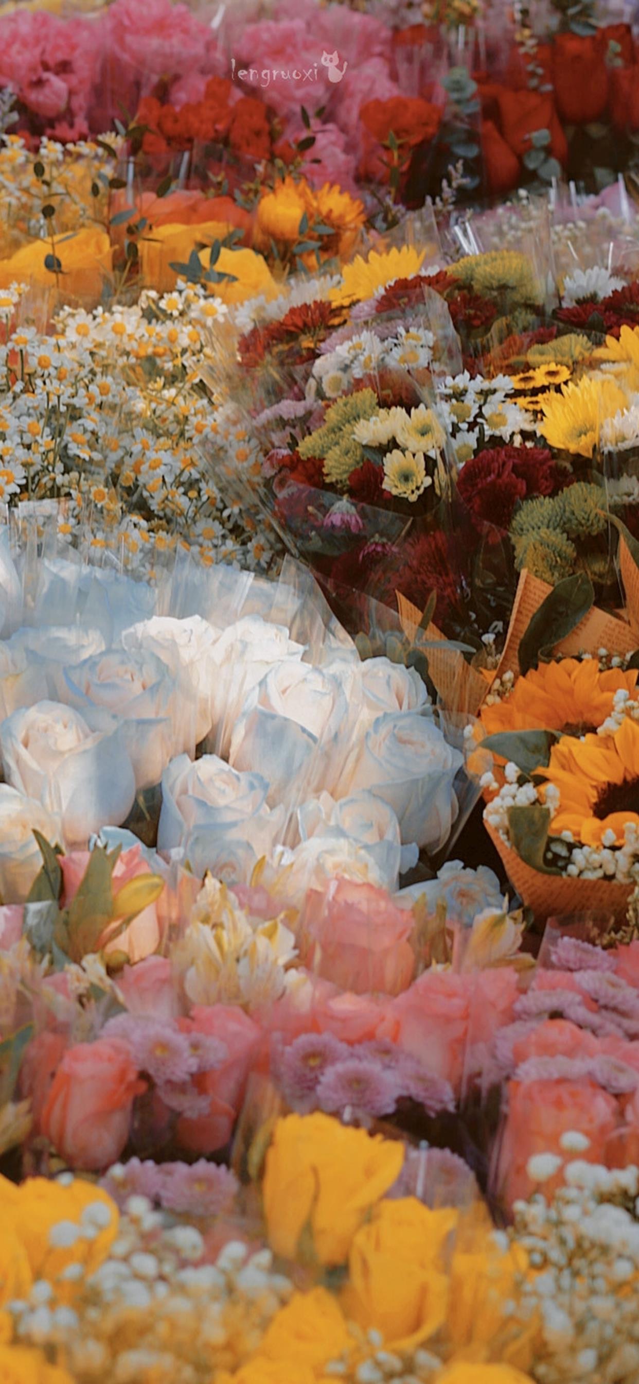 iphonexsmax澹佺焊瓒呮竻鏂板勾蹇箰,鐢佃剳楂樻竻澹佺焊4k鍏ㄥ睆2024鏂板勾蹇箰