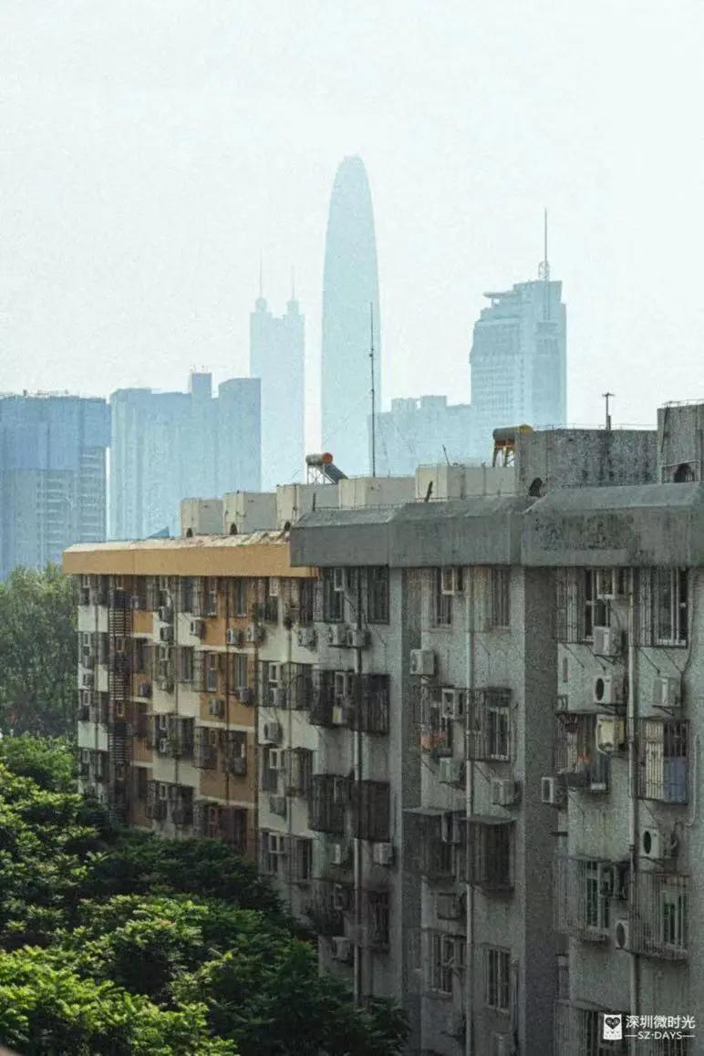 灭蟑螂月入过万,深圳灭鼠杀蟑螂行业好做吗