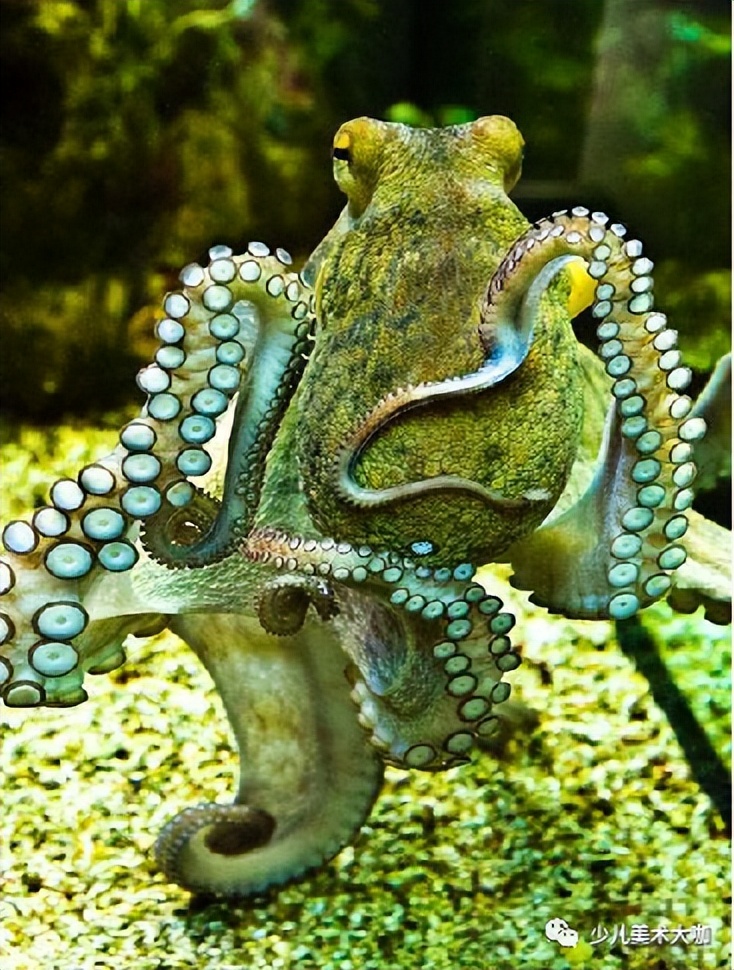 创意美术简单易学,创意美术幼儿