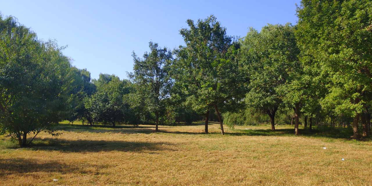 绿野堂轶事“逸足换名姝”