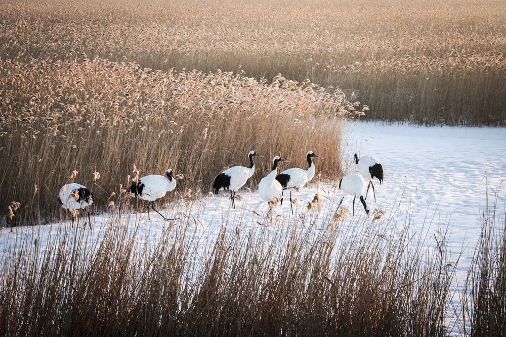 刚试了一下中华文字果然博大精深,涨知识了快来看看中国文字的魅力