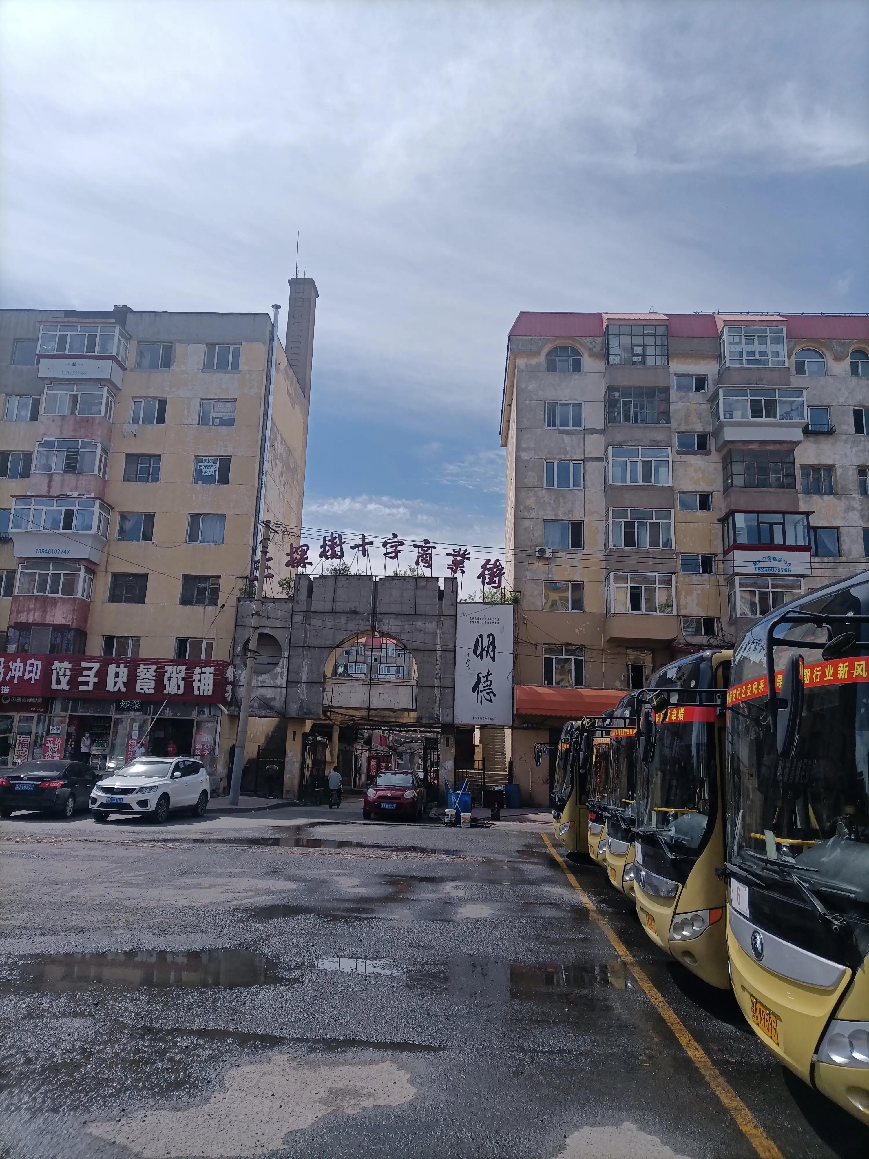 哈尔滨三棵树商业中心在哪里,哈尔滨市三棵树在哪里