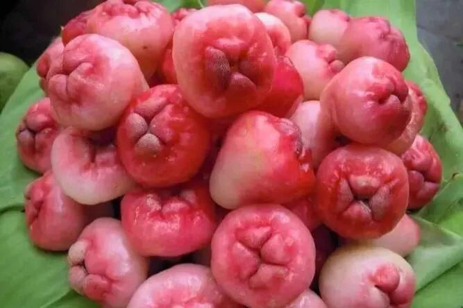 解决便秘即时有效的方法,解决便秘的难言之隐这样做就够了