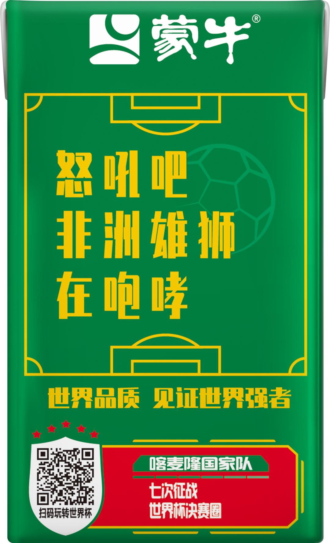 世界杯足球员故事,世界杯队长纪录片第四集